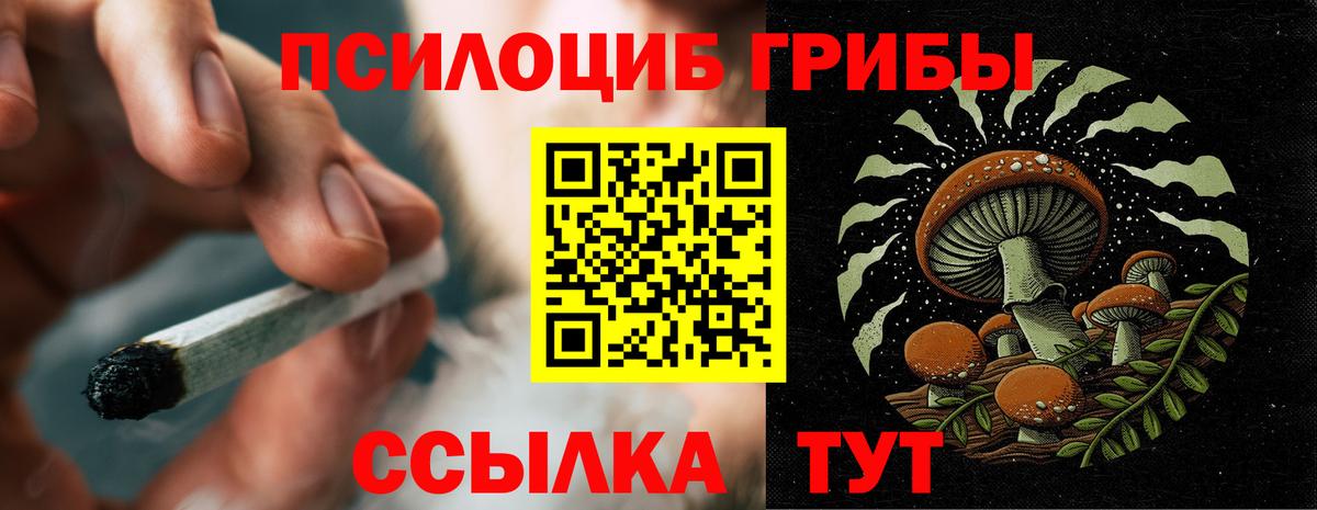 Псилоцибиновые грибы Psilocybine cubensis  Вход с VPN  Гусиноозёрск 